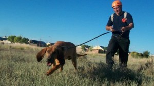 Proponen como Vecino Destacado a viedmense que colaboró en la búsqueda de Maldonado