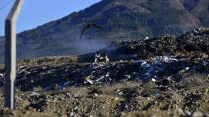 Bariloche: historias de los que viven del basural