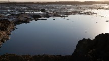 Imagen de El tratamiento de residuos petroleros en Vaca Muerta está al límite