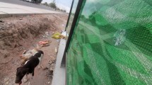 Imagen de Con piedrazos rompieron paradores del Metrobús