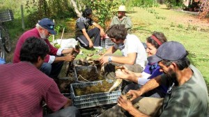 Curso de agricultura biodinámica, a partir de marzo, en Cinco Saltos