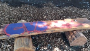 Denuncian vandalismo en un espacio público