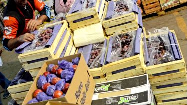Las frutas fue uno de los rubros que más aumentó en agosto. (Mauro Pérez)