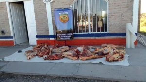 Decomisaron 300 kilos de carne en Paso Córdoba