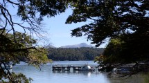 Imagen de Bosque nativo de Neuquén: Gutiérrez firmará hoy varios convenios con Nación