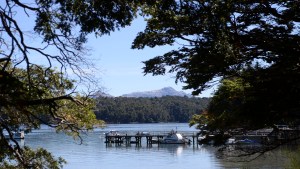 Bosques nativos: Neuquén sumó 50.000 hectáreas al área de protección