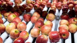 En redes, Weretilneck elogió el acuerdo para el ingreso de fruta a Brasil