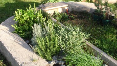 Tres centros de salud de Bariloche ya tienen sus propias huertas con hierbas con fines medicinales. (Archivo)