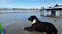 Imagen de SAO sumó el viernes a las jornadas para disfrutar al aire libre