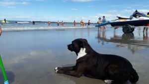 SAO sumó el viernes a las jornadas para disfrutar al aire libre