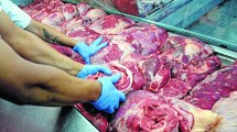 Imagen de En febrero la carne subió 20% y se opta por cortes  más económicos