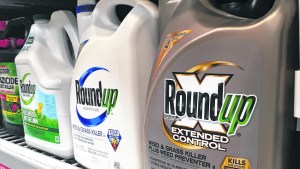 Las acciones de Bayer se hunden tras perder otro juicio por el glifosato