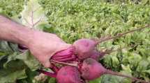 Imagen de Tres proyectos de agricultura amigable en la región