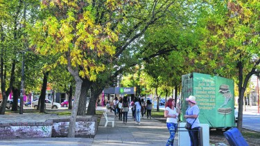 Entre 15 y 20 personas por día hacen el cambio de domicilio para radicarse en Plottier. 