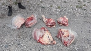 Intentó fugarse de un control con un animal faenado en SAO