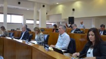 Imagen de En Neuquén rechazaron nombrar a Estela de Carlotto visitante ilustre