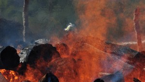 Incendio en MAM
