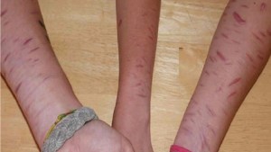 El nuevo reto viral que preocupa a los padres: así es el «Abecedario del Diablo»