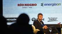Imagen de Ormachea: «Para que Vaca Muerta se desarrolle se necesita un escenario claro»