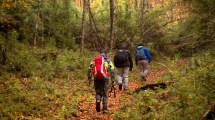 Imagen de El dato de Semana Santa en la cordillera de Neuquén: muchos viajan sin reserva