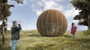 Sólo madera para crear, construir y aprender
