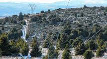 Imagen de Una falla en Alicurá dejó sin luz todo Bariloche