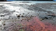 Imagen de Cuál es el avance de obras para sanear el Nahuel Huapi