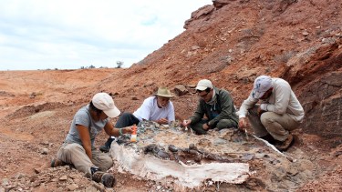 Descubren un cementerio de animales de 220 millones de años en San Juan