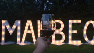 «¿Qué tiene que tener mi Malbec preferido?»