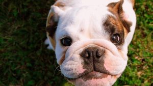 Pronóstico: Así arranca la semana en la región