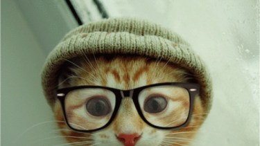 Pronóstico: mejora el tiempo este viernes, pero sigue la nubosidad en la región