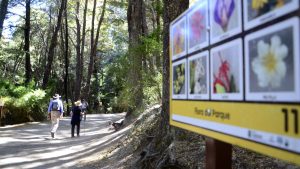 Fuertes vientos en la cordillera: cierran senderos en Bariloche