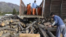 Imagen de Carreras afirmó que invertirán cerca de 900 millones de pesos en el Plan Calor 2022