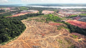 “La biodiversidad es indispensable para el bienestar del ser humano”