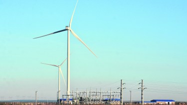 Ciento veinte metros de alto. Los molinos llevan su energía a la planta transformadora.