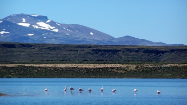 El Parque Nacional Laguna Blanca será uno de los destinatarios del proyecto en Neuquén. Foto: Archivo. 
