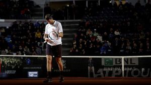 Del Potro acarició el triunfo pero cayó con Djokovic