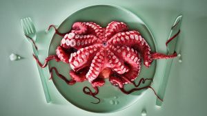 Las mejores fotografías de comida de este año