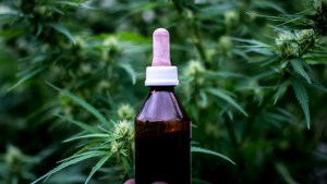 Quieren que el Estado cultive cannabis medicinal en Neuquén