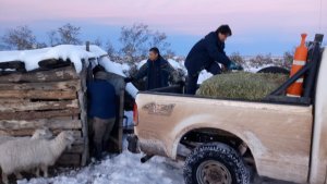 Alerta por intensos vientos y nevadas en el centro y norte neuquino