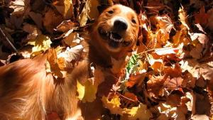 Pronóstico: Miércoles con algo de viento, pero agradable