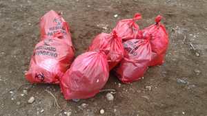 Encontraron 7 bolsas de residuos patógenos en el vertedero