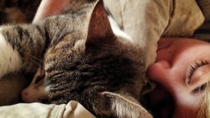 Pronóstico: Así va a estar este jueves feriado