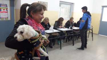 Los perros son los protagonistas de las notas de color en las elecciones., Foto César Izza. 