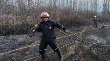 Imagen de Era una quema controlada, pero el viento la convirtió en un incendio