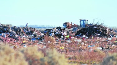 Contaminación. 