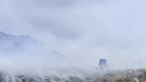 La Universidad de Río Negro aclaró por qué no puede realizar una pericia ad honorem