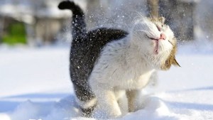 Pronóstico: Así llega este jueves helado a la región