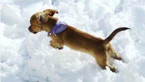 Pronóstico: ¡Brrr! El frío se instala este miércoles en la región