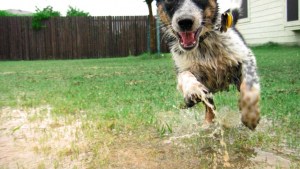Pronóstico: ¡Lunes feriado! Pero siguen las lluvias y el frío